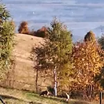 샬레 W Chmurach